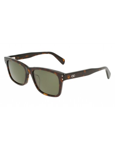 Salvatore Ferragamo SF1039SLB Sunglasses rembourrage situé sous