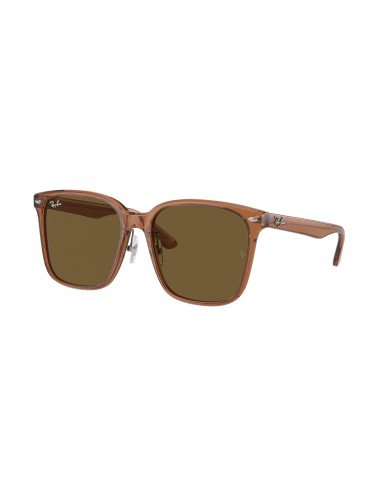 Ray-Ban 2206D Sunglasses la chaussure