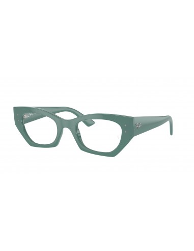 Ray-Ban Zena 7330F Eyeglasses la colonne vertébrale