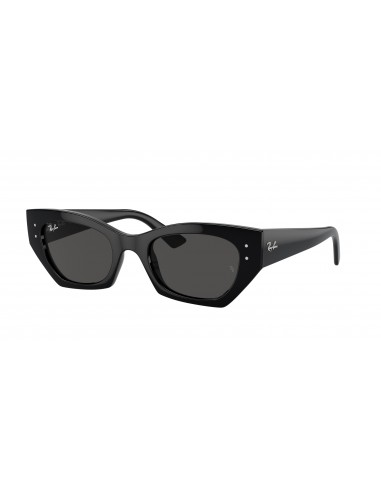 Ray-Ban Zena 4430 Sunglasses prix pour 