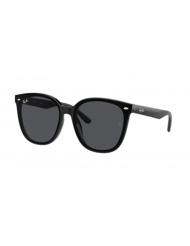 Ray-Ban 4423D Sunglasses basket pas cher