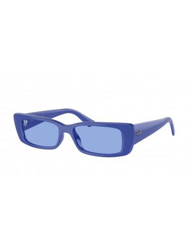 Ray-Ban Teru 4425F Sunglasses Les êtres humains sont 