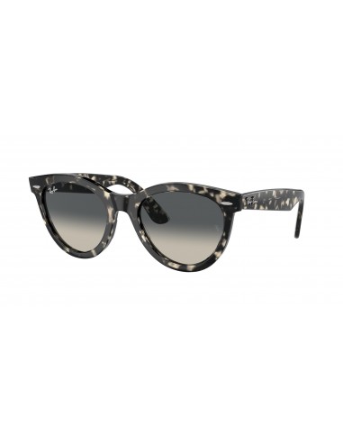 Ray-Ban Wayfarer Way 2241 Sunglasses français