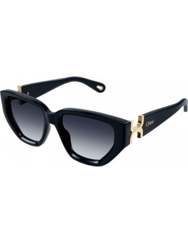 Chloe CH0235S Sunglasses meilleur choix