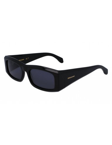 Salvatore Ferragamo SF2012S Sunglasses suggérées chez