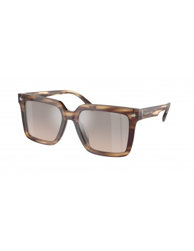 Michael Kors Abruzzo 2217U Sunglasses votre