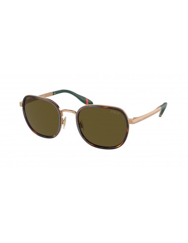 Polo 3151 Sunglasses français