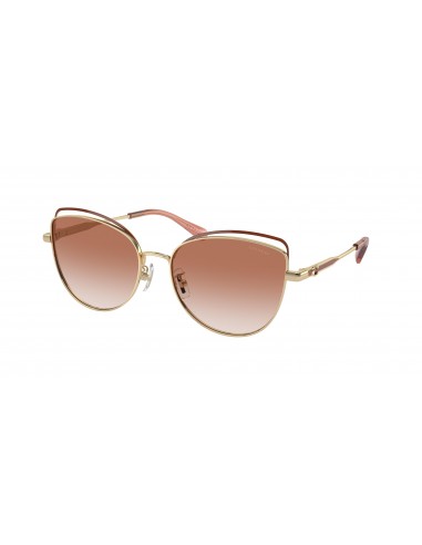 Coach Cr621 7162 Sunglasses Vous souhaitez 