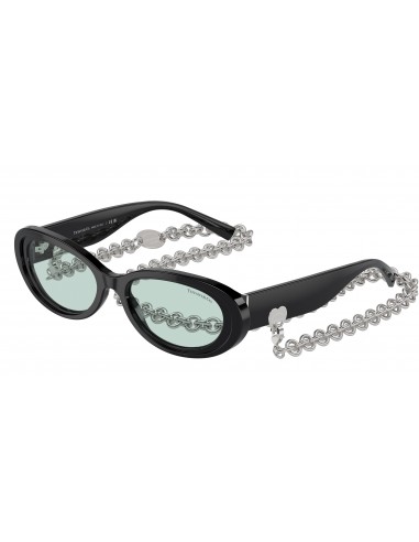 Tiffany 4221 Sunglasses Venez découvrir notre 