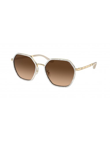 Coach Cs543 7167B Sunglasses brillant des détails fins