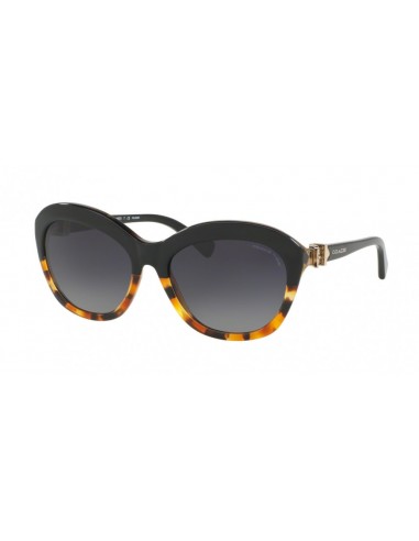 Coach L1600 8184 Sunglasses livraison gratuite